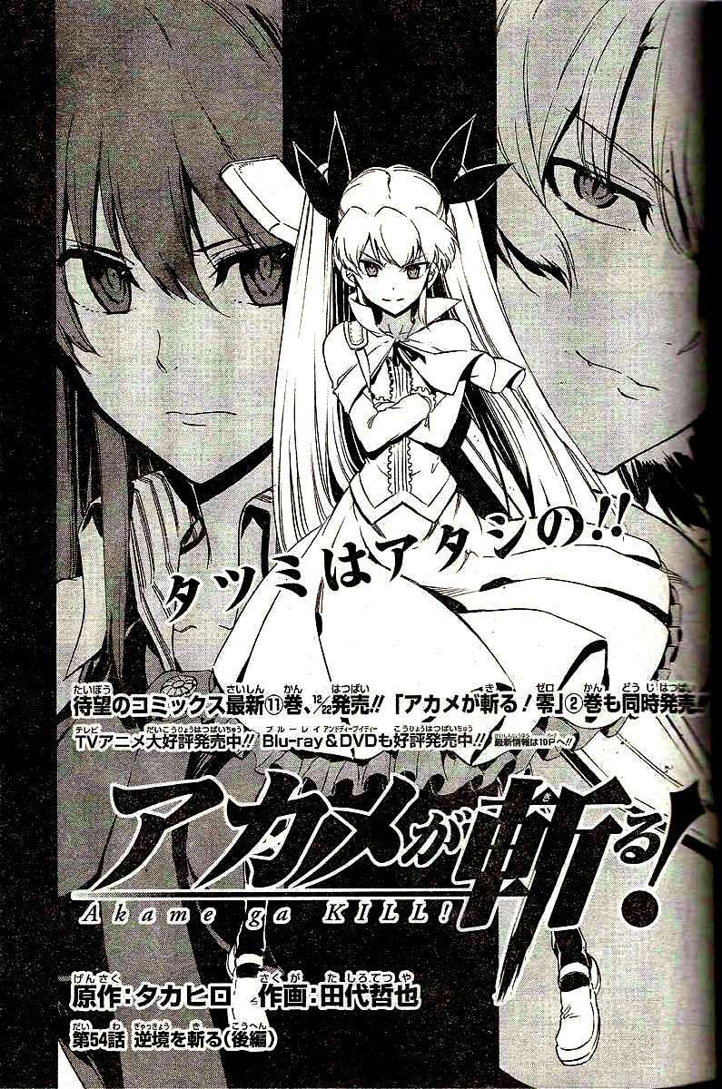 Akame ga Kiru! Chapter 54 - Trang 2