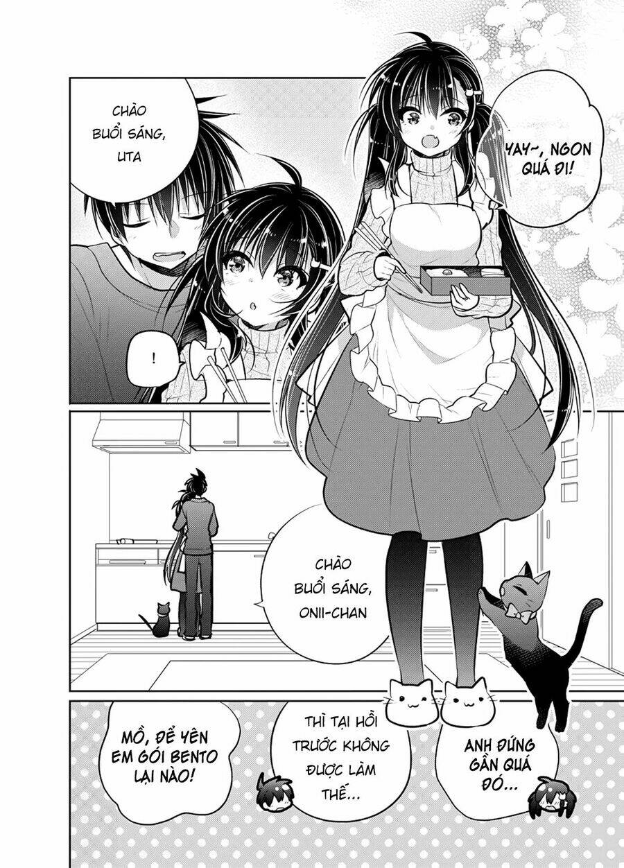 Siscon Ani To Brocon Imouto Ga Shoujiki Ni Nattara Chapter 49 - Trang 2